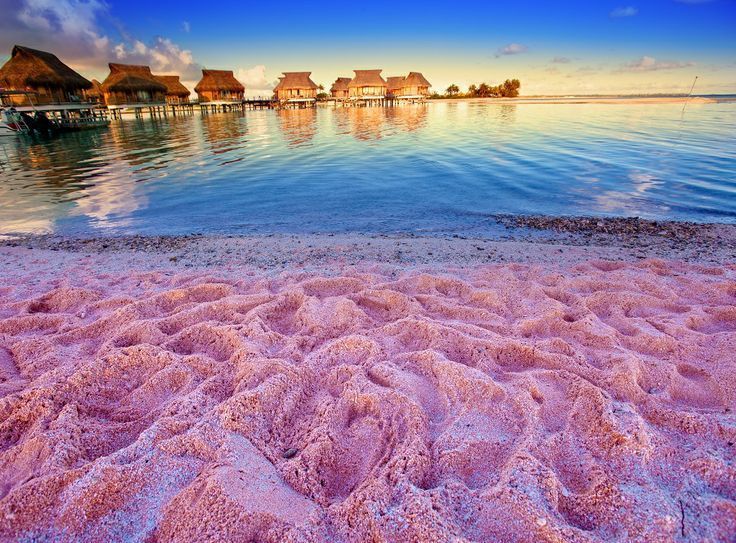 Pink Sand – Bahamas