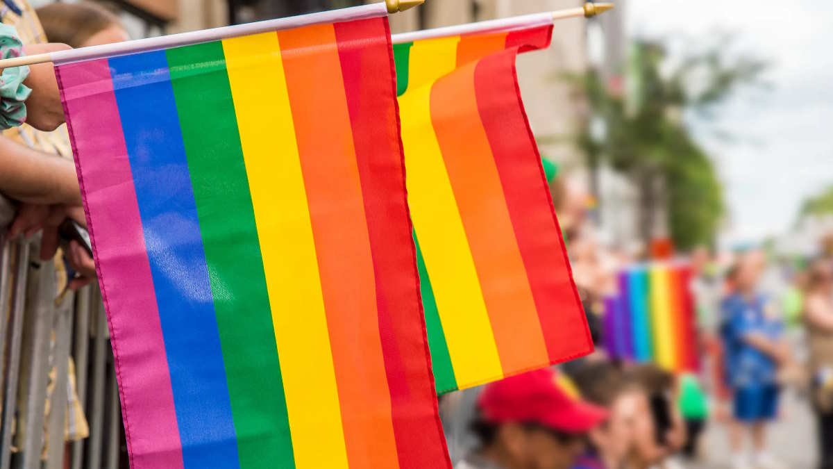 Tipos de sexualidad - bandera gay